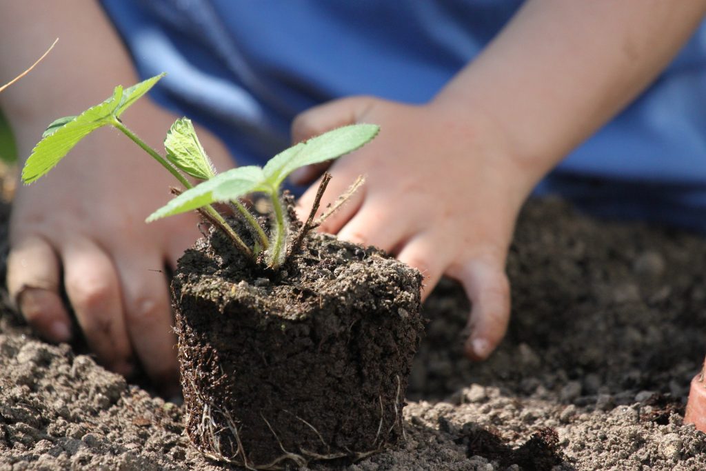 Asociacion COAGROPAC Vereda El Jardin